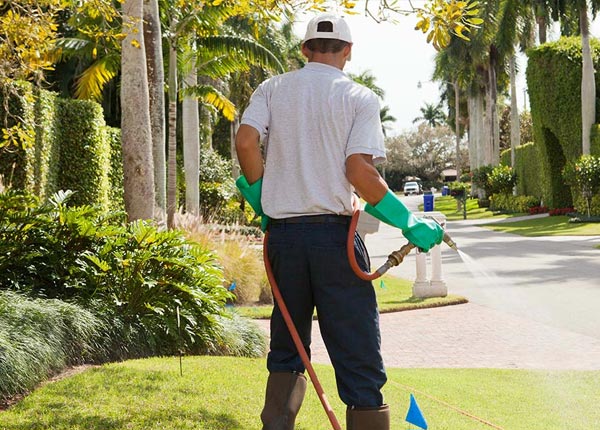 About Alexandria Bay NY Pest Control Pros